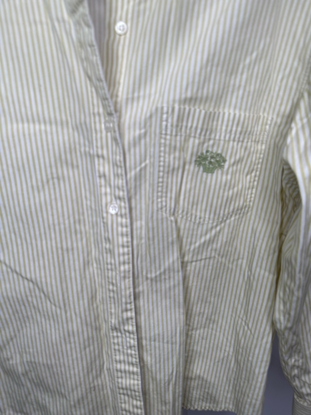 Susan Bristols Striped Button-Up Shirt in Light Green - Unbrandedu Size PM